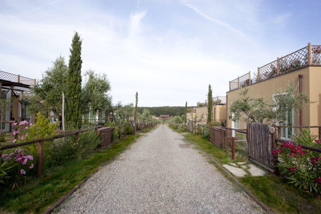 Di Toscana Holidays Cecina  Eksteriør billede